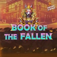 Book of the Fallen icon